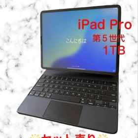 ⭐️極美品⭐️セット iPad Pro 第5世代 12.9インチ 1TB セルラー