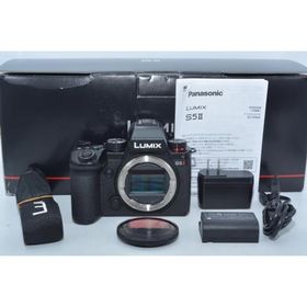 パナソニック(Panasonic) パナソニック フルサイズミラーレス一眼カメラ S5M2 ボディ ブラック DC-S5M2