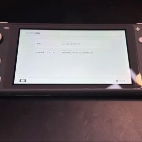 Nintendo Switch Lite グレー 本体 初期化済み
