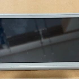 Nintendo Switch Lite ザシアンザマゼンタ