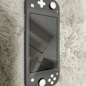 Nintendo Switch Lite グレー、カセット2種類