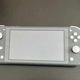 ケース付き Nintendo Switch Lite グレー 本体