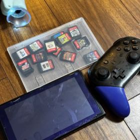 Nintendo Switch Lite 本体 ゲームカード多数