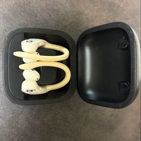 Powerbeats Pro