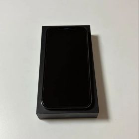 iPhone12pro max 256GB