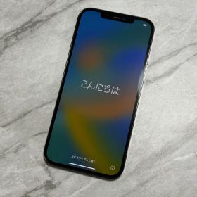 iPhone12pro max 256GB SIMフリー