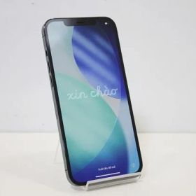 iPhone12 Pro Max MGCX3J/A Apple iOS docomo SIMロック解除済み SIMフリー 残債なし 128GB パシフィックブルー