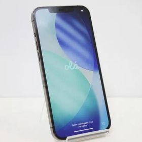 iPhone 12 Pro Max MGCU3J/A Apple docomo iOS SIMロック解除済み SIMフリー 残債なし 128GB グラファイト