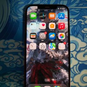 iPhone 12 Pro Max 256GB sim フリー