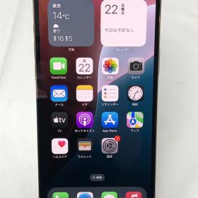 ◆Apple iPhone 12 Pro Max 256GB SBM系 ゴールド 利用制限〇 現状 ジャンク◆20791★