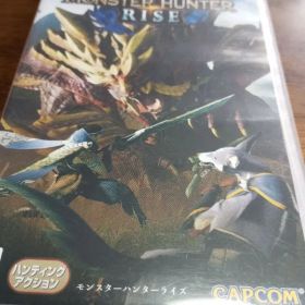 モンスターハンターライズ Nintendo Switch