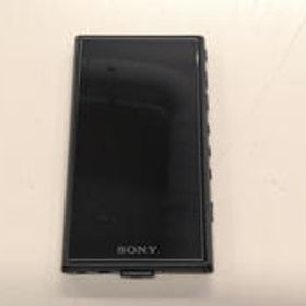 WALKMAN NW-A107 SONY