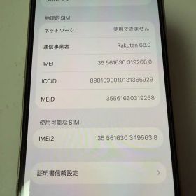 Apple iPhone13 256GB 本体