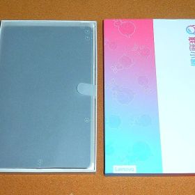 LENOVO Tab P11 有機EL ( NEC LAVIE T11 )