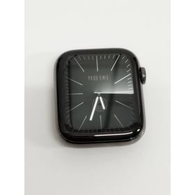Apple Watch Series 6/A2294/ステンレス(その他)