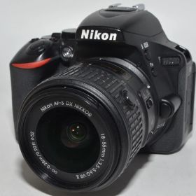 251324★極上★Nikon デジタル一眼レフカメラ D5500 18-55 VRII レンズキット ブラック 2416万画素 3.2型液晶 D5500LK18-55BK
