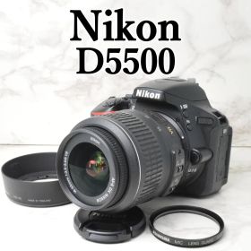 ワンランク上の高画質 Nikon D5500⭐️Wi-Fi スマホ転送 一眼レフ