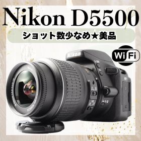 美品❤️Nikon D5500 レンズセット Wi-Fi 初心者 バリアングル