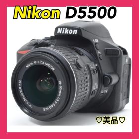 ✨稼動品✨Nikon D5500 Wi-Fi搭載 初めての方◎ スポーツにも