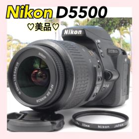 ✨美品✨Nikon D5500 初心者おすすめ 動作OK 一眼レフ 卒業 入学