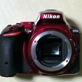 Nikon D5500 ショット数285 新品級 動作OK 元箱付き