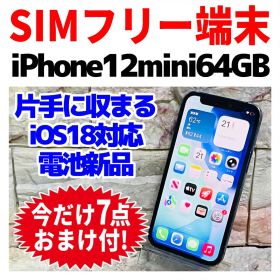 SIMフリー iPhone12mini 64GB ブルー 新品バッテリ－
