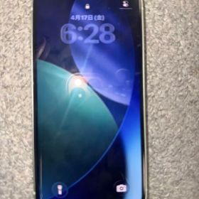 iPhone 12 mini SIMフリー 64GB グリーン ケース付き