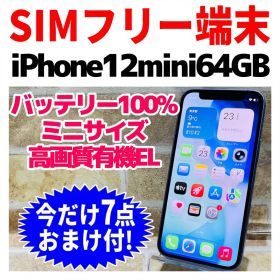SIMフリー iPhone12mini 64GB パープル 電池良好