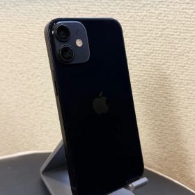 🔔期間限定価格✨iPhone12 mini 256GB ブラック SIMフリー 動作確認済み IMEI：353016114920795