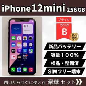 iPhone 12 mini 256GB ブラック ランクB SIMフリー バッテリー100% 動作確認済 MGD R3J/A 5点セット フィルム貼付サービス付 53-12