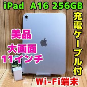 WiFi 本体 iPad A16 256 GB 423 シルバー バッテリー良好