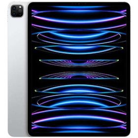 iPad Pro 11インチ 第4世代[512GB] Wi-Fiモデル シルバー【安 …