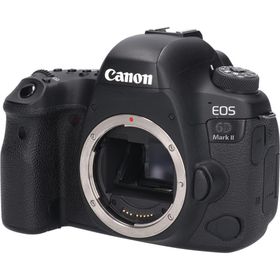 キヤノン(Canon)のＥＯＳ ６Ｄ ＭＡＲＫ ＩＩ(デジタル一眼)