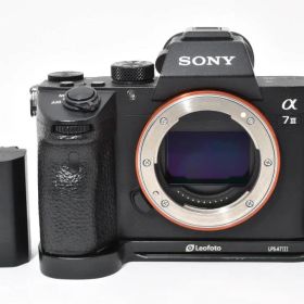 ショット数: 59310回 SONY α7III + Leofoto #1052