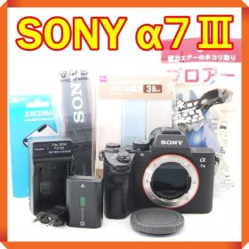 ✨ SONY α7Ⅲ ILCE-7M3 ミラーレス スマホ転送 ソニー