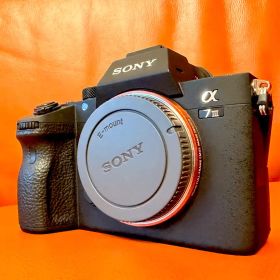 ★極上★SONY α7III ILCE-7M3 シャッター 211 回！おまけ付