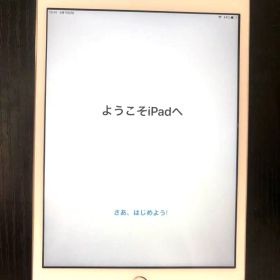 Apple iPad mini3 128GB 本体 画面シート付き