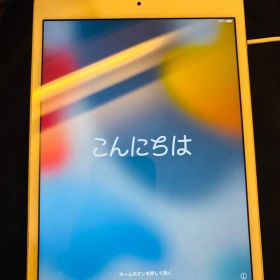 iPad mini4 【MK9J2J/A】Wi-Fi 64GB