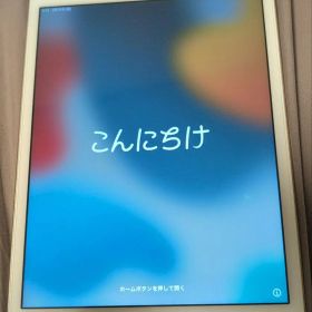 iPad mini4 32GB Cellular 美品