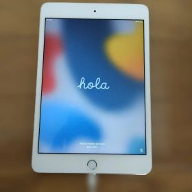 iPad mini4Cellularモデル シルバー 本体 元箱あり
