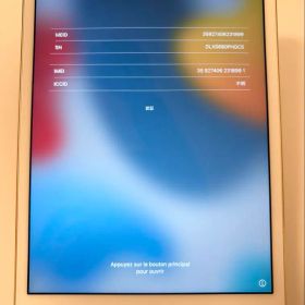 Apple iPad mini4ゴールド 本体