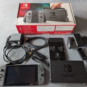 Switch Nintendo Switch グレー