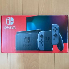 Nintendo Switch グレー 充電強化タイプ