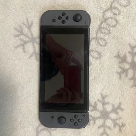 Nintendo Switch 本体 グレー 出品日特価
