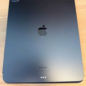 13インチ iPad Pro(M4) スペースグレー 本体