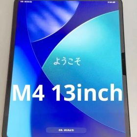 Apple 13インチ iPad Pro M4 スペースブラック 256GB