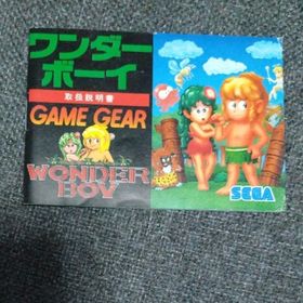 説明書のみ ワンダーボーイ(家庭用ゲームソフト)