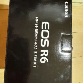Canon EOS R6 バッテリー5個充電器セット レンズなし