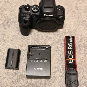 【最安値】Canon EOS R6 Mark II 本体と付属品