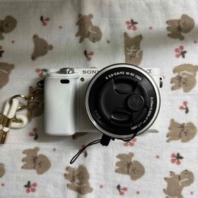 SONY α6000(ミラーレス一眼)